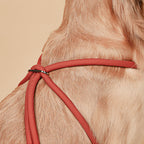 All-In-One Harness - Orange