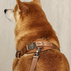Horsebit Harness : Camel