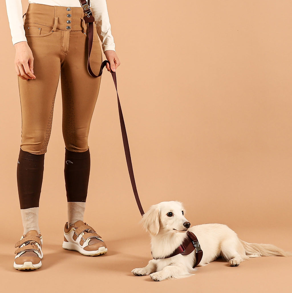 Saddle Harness : Burgundy