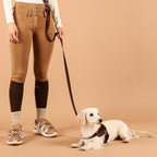 Saddle Harness : Burgundy