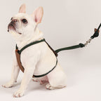 Essential Harness - Deep Green