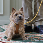 All-In-One Harness - Mustard