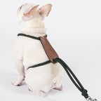 Essential Harness - Deep Green