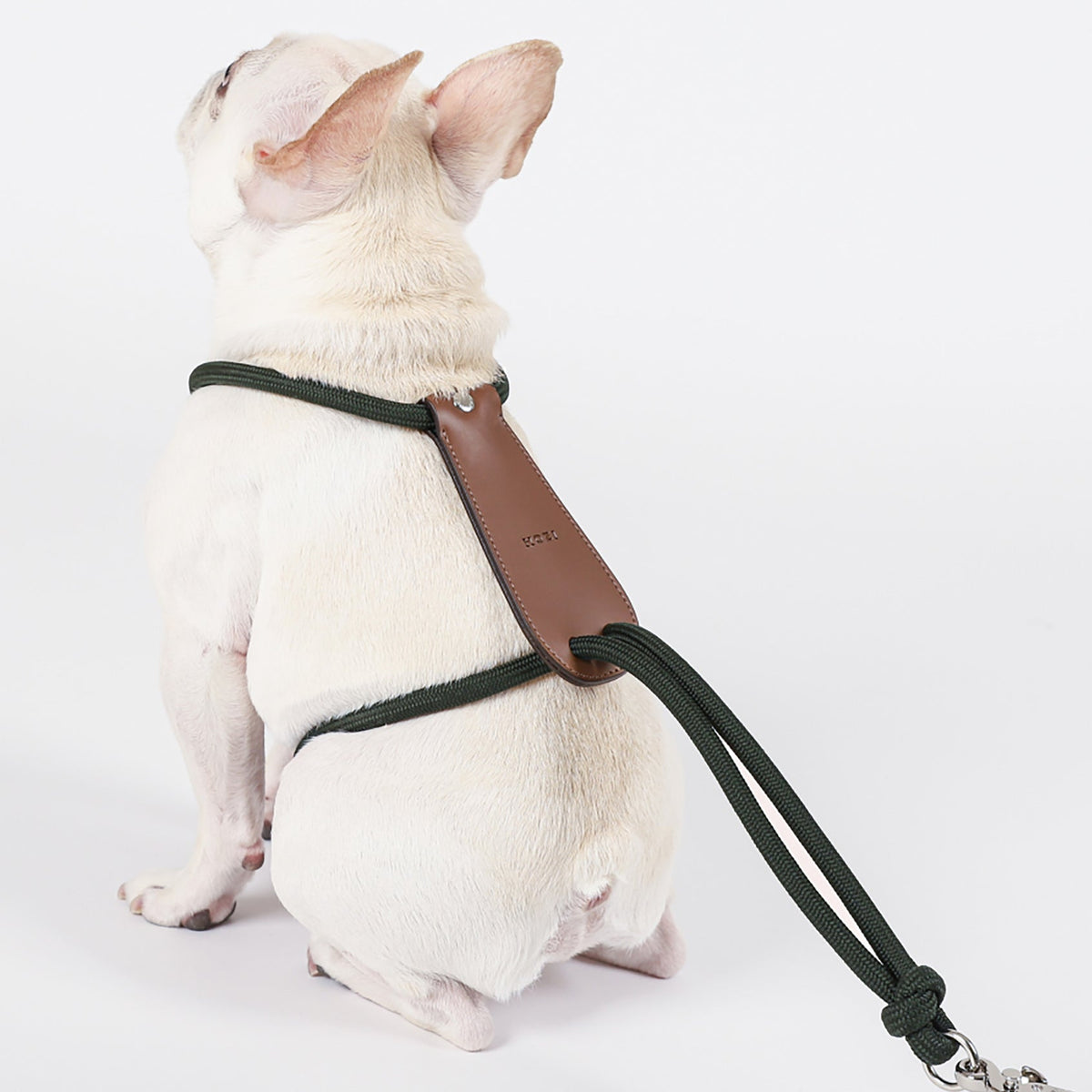 Essential Harness - Deep Green