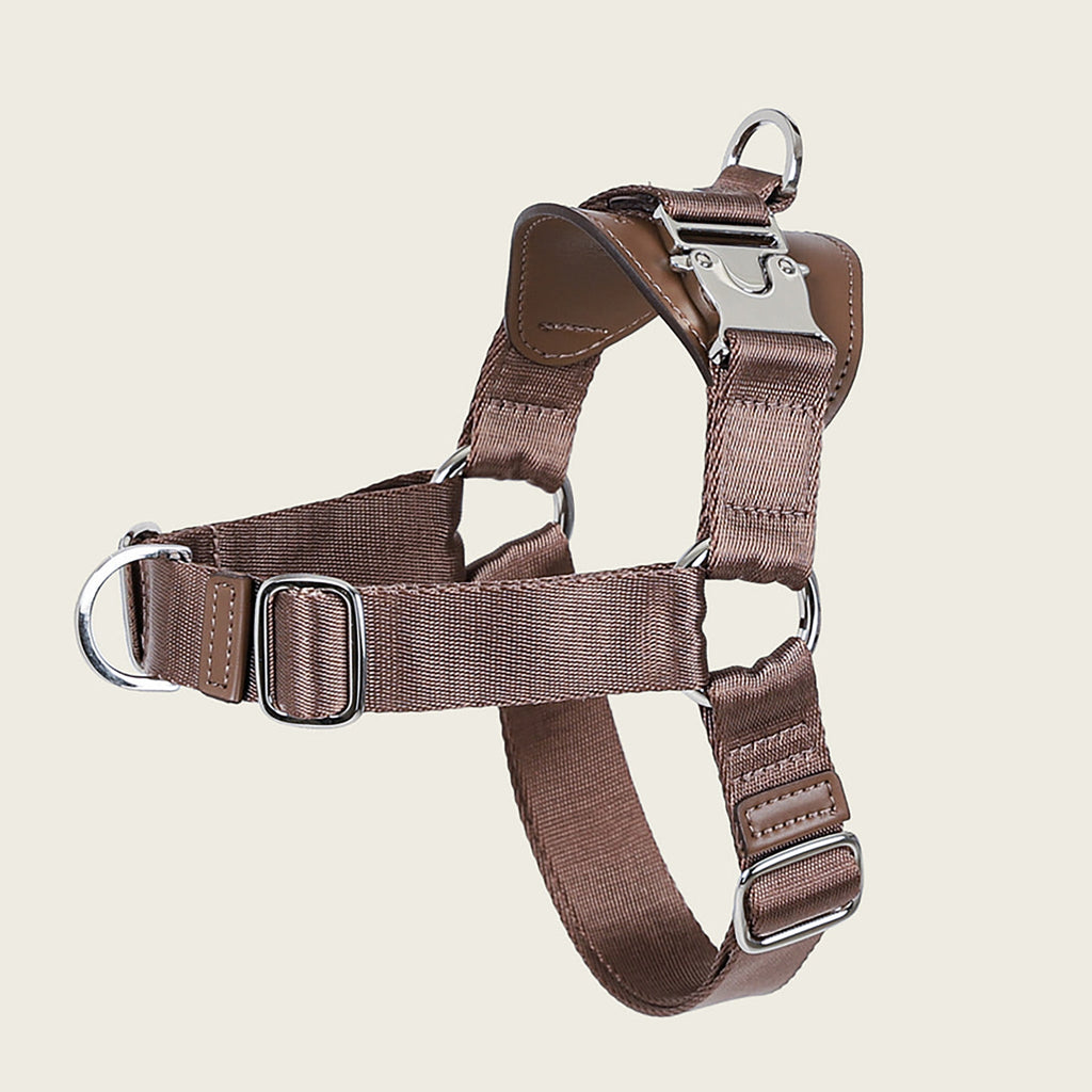 Horsebit Harness : Mocha
