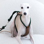 Essential Harness - Deep Green
