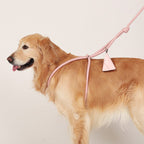 All-In-One Harness - Pink