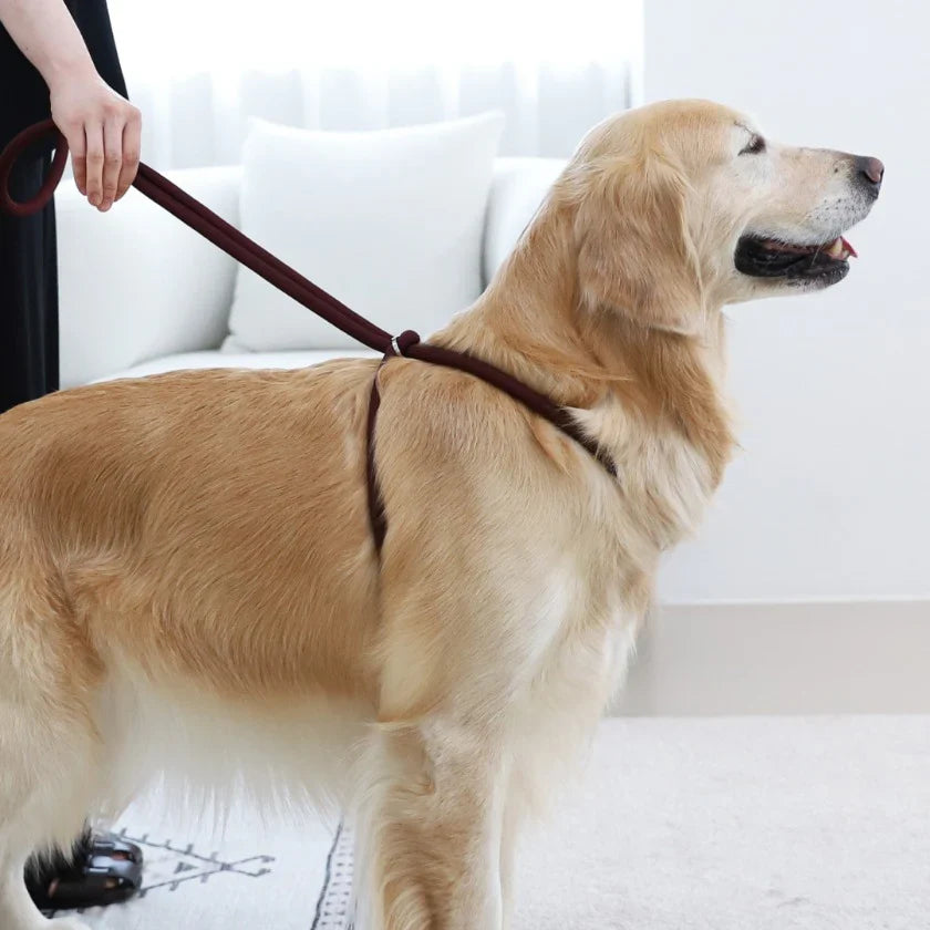 All-In-One Harness - Burgundy