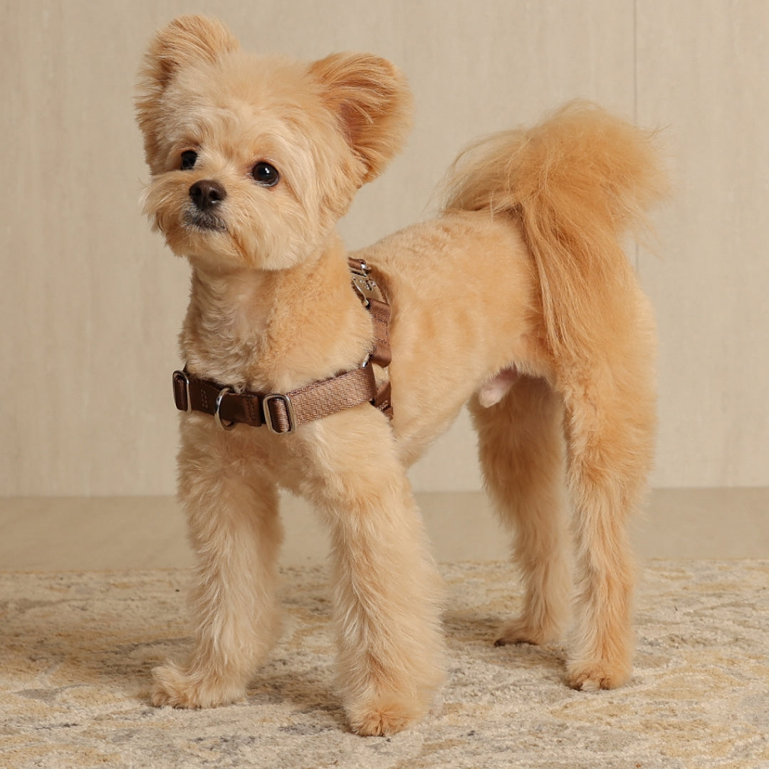 Horsebit Harness : Mocha