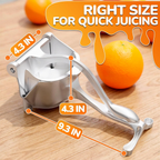 EasyPress™ Manual Juicer – Fresh Juice with Less Effort