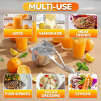 EasyPress™ Manual Juicer – Fresh Juice with Less Effort