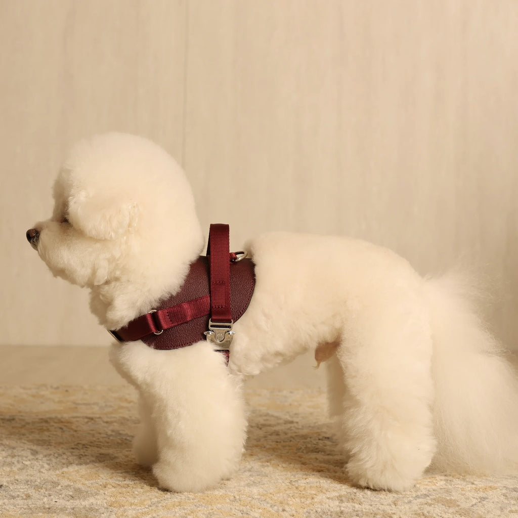 Saddle Harness : Burgundy