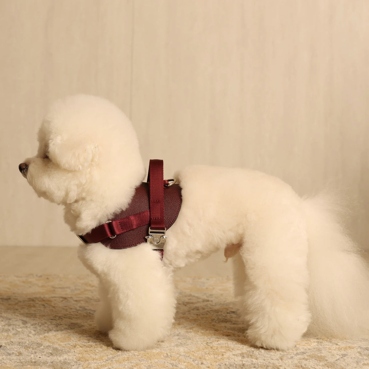 Saddle Harness : Burgundy