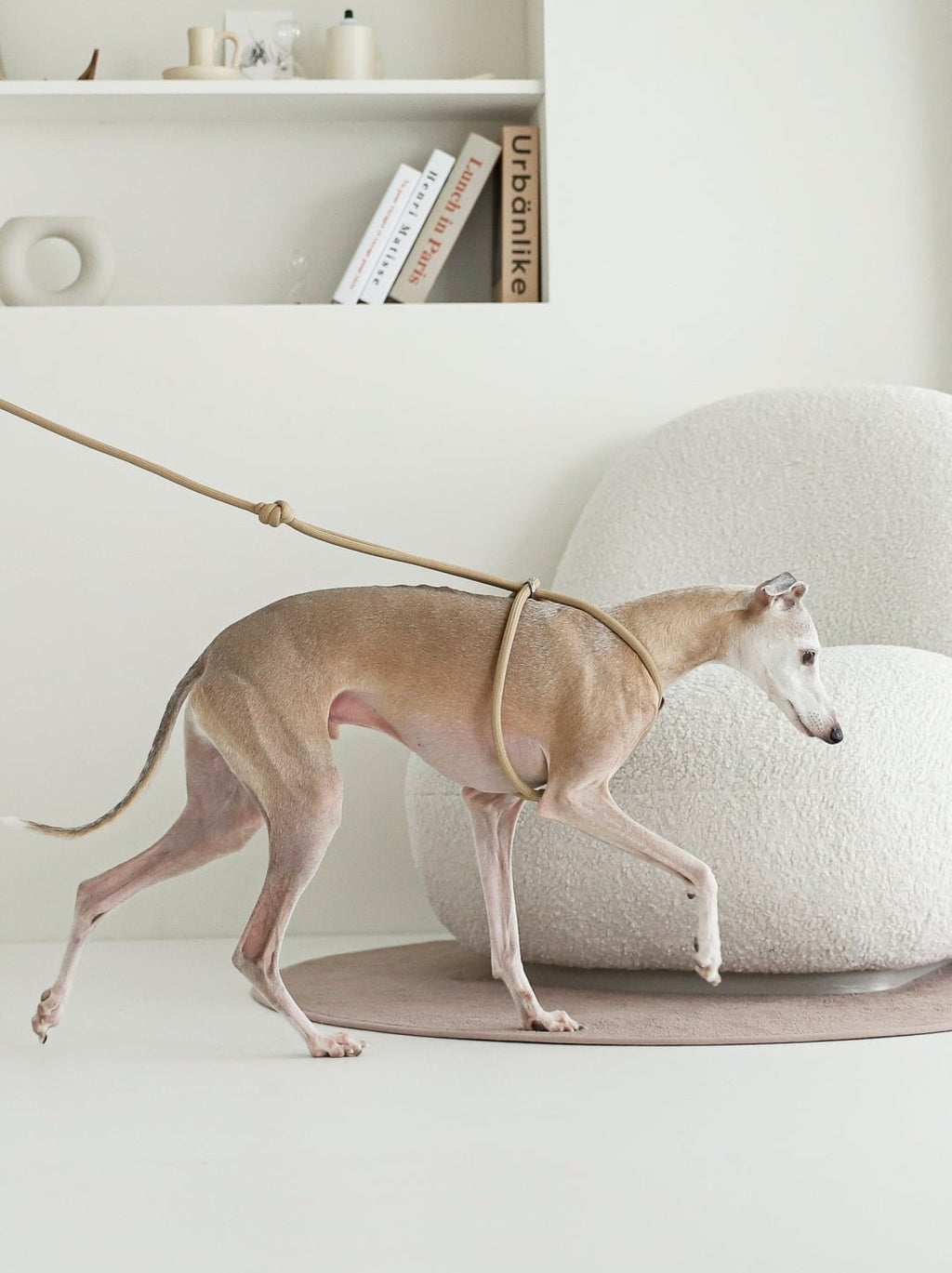 All-In-One Harness - Beige
