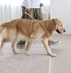 All-In-One Harness - Beige