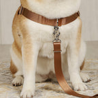 Horsebit Harness : Camel