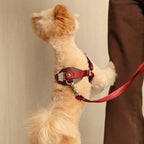 Horsebit Harness : Burgundy