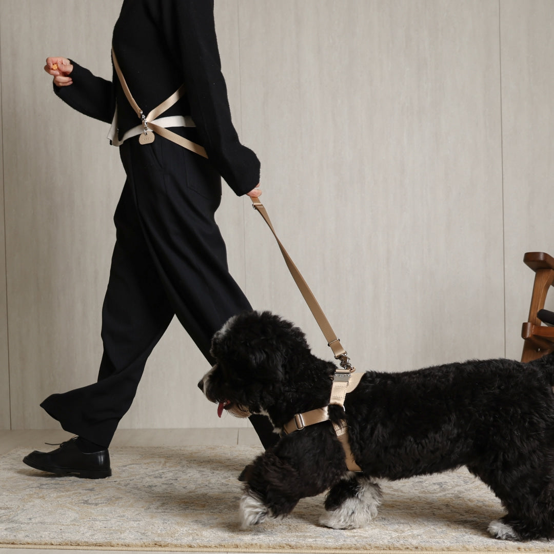 Horsebit Harness : Beige