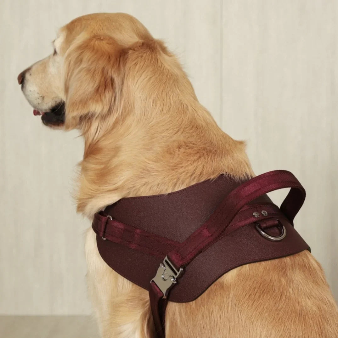 Saddle Harness : Burgundy