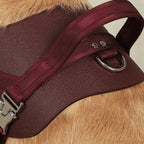 Saddle Harness : Burgundy
