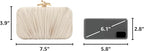 Dolovira Pleated Evening Clutch Bag