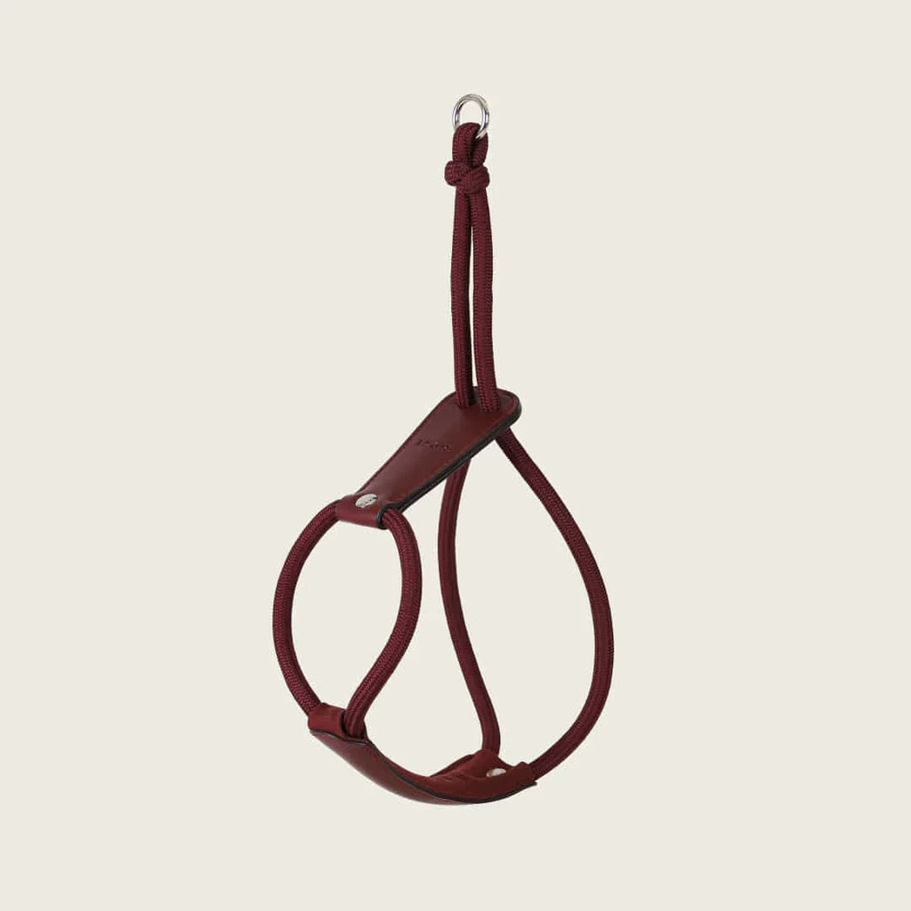 Essential Harness - Burgundy