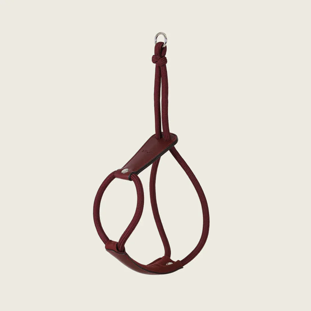 Essential Harness - Burgundy