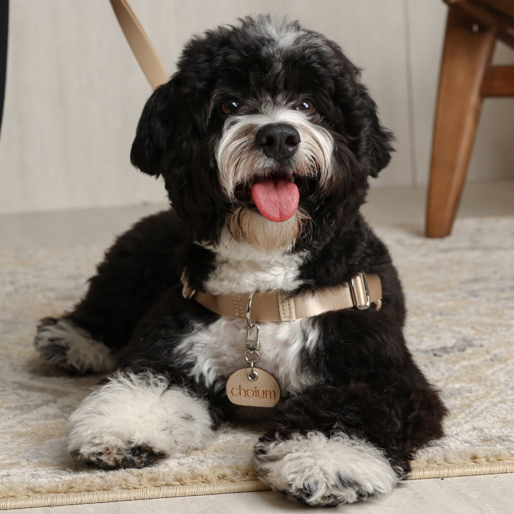 Horsebit Harness : Beige