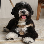 Horsebit Harness : Beige