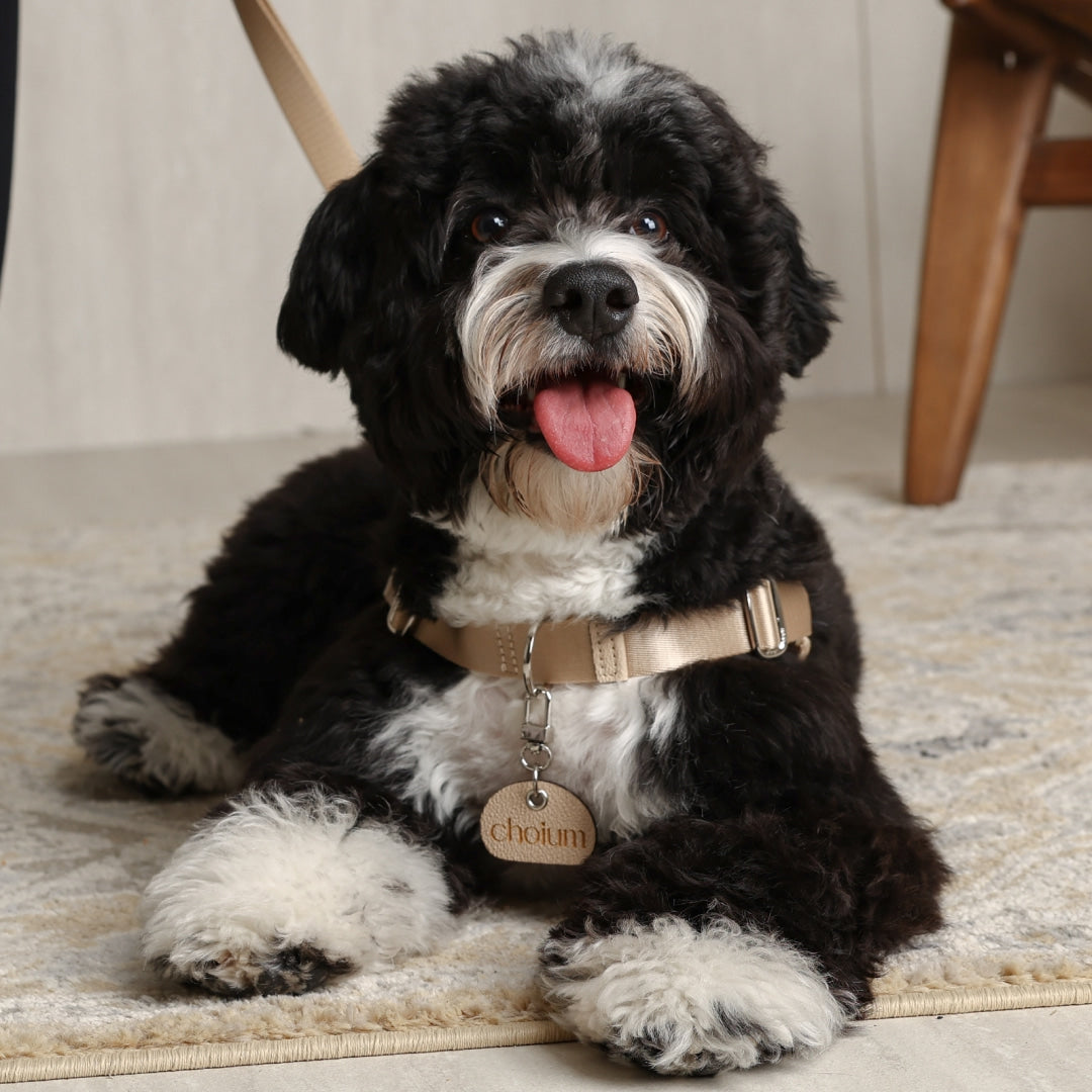 Horsebit Harness : Beige