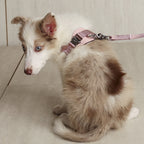 Bridle Harness : Pink