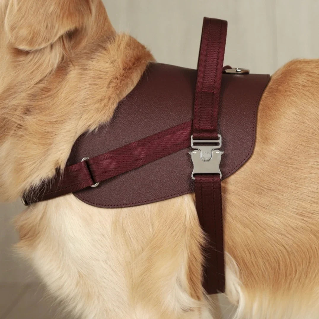Saddle Harness : Burgundy