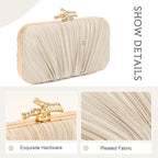 Dolovira Pleated Evening Clutch Bag