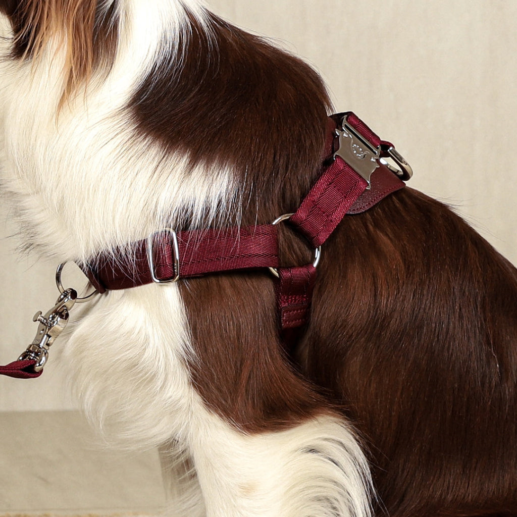 Horsebit Harness : Burgundy