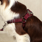 Horsebit Harness : Burgundy
