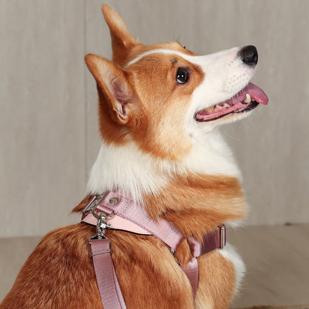 Horsebit Harness : Pink