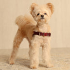 Horsebit Harness : Burgundy
