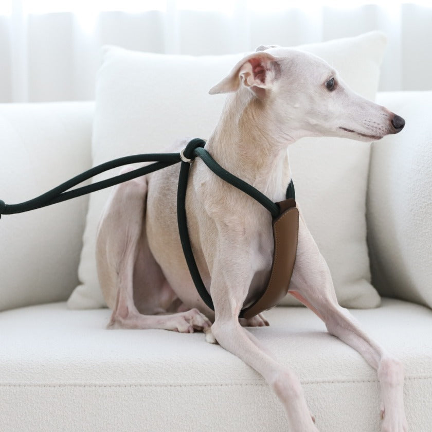 All-In-One Harness - Deep Green