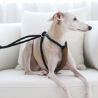 All-In-One Harness - Deep Green