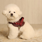 Saddle Harness : Burgundy