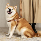 Horsebit Harness : Camel