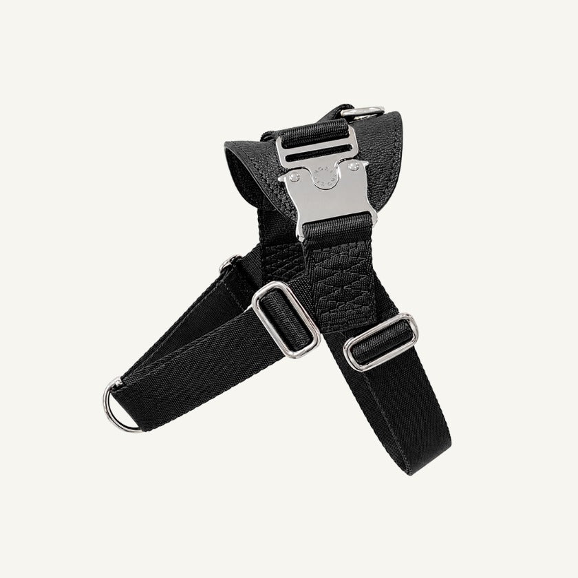 Bridle Harness : Black