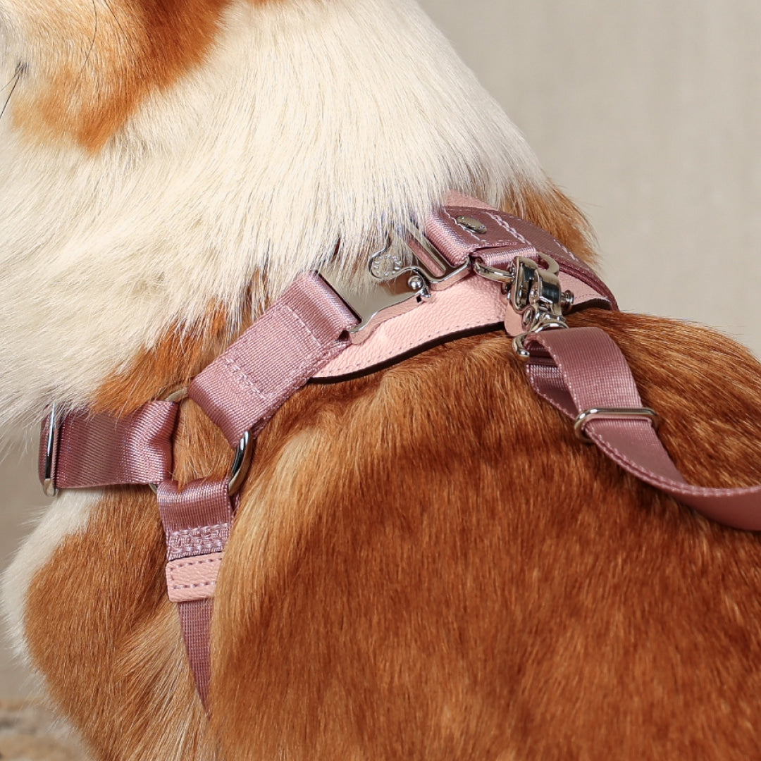 Horsebit Harness : Pink
