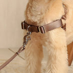 Horsebit Harness : Mocha