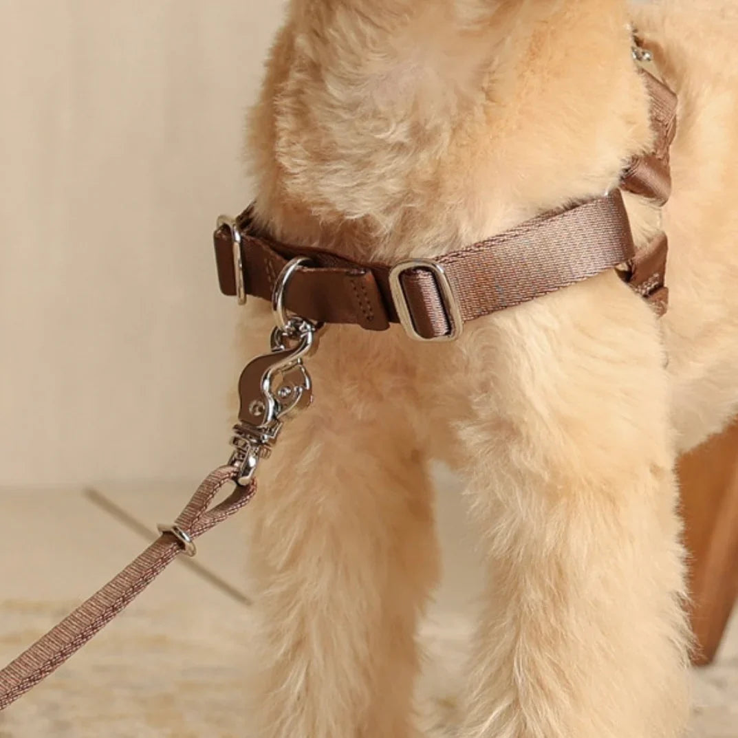 Horsebit Harness : Mocha