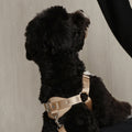Horsebit Harness : Beige