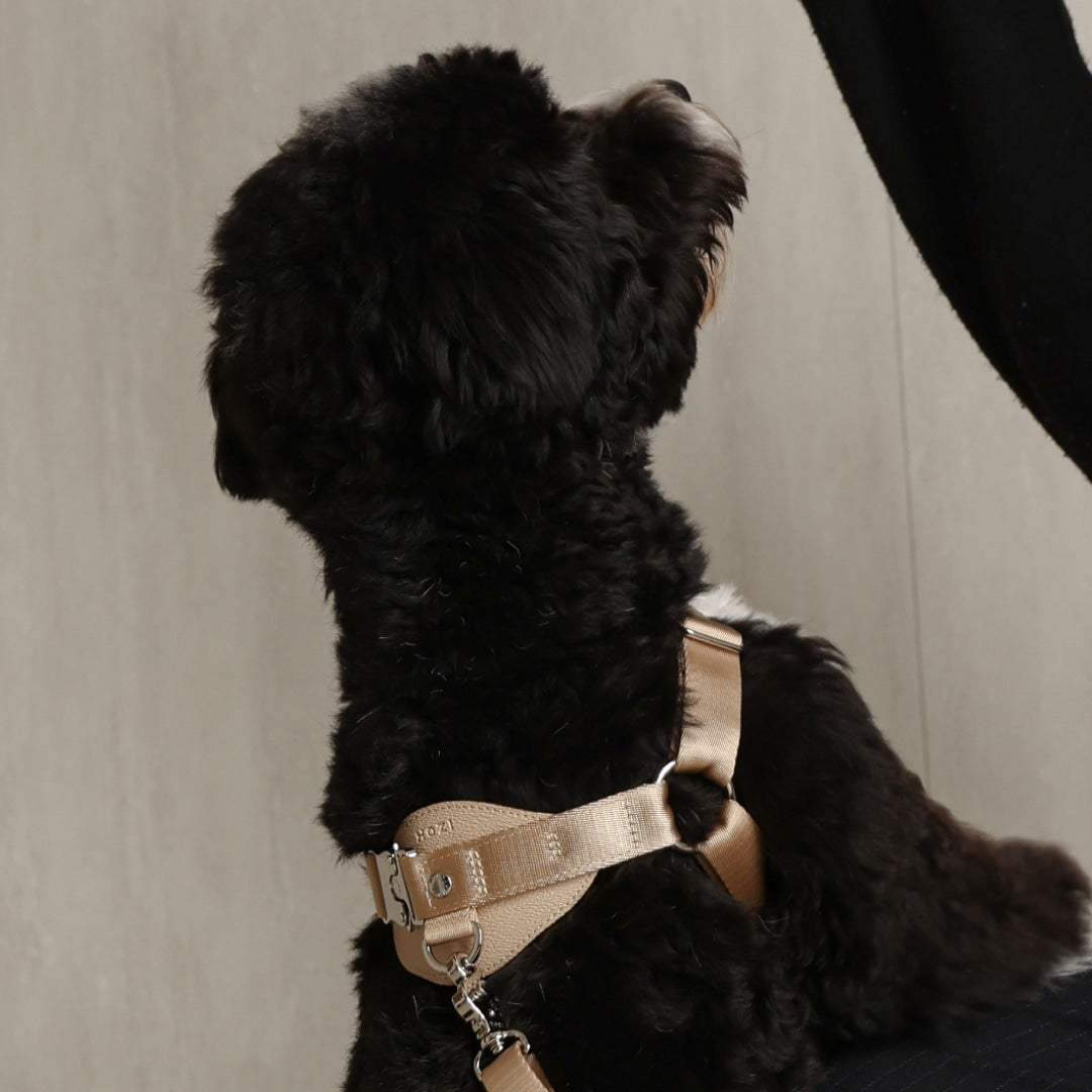 Horsebit Harness : Beige