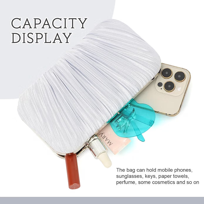 Dolovira Pleated Evening Clutch Bag