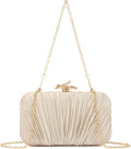 Dolovira Pleated Evening Clutch Bag