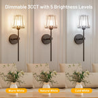 Dolovira Rechargeable Crystal Wall Sconce with Remote Control